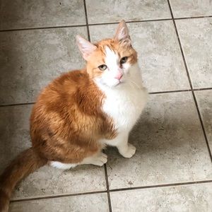 Meet your Posher, Joy